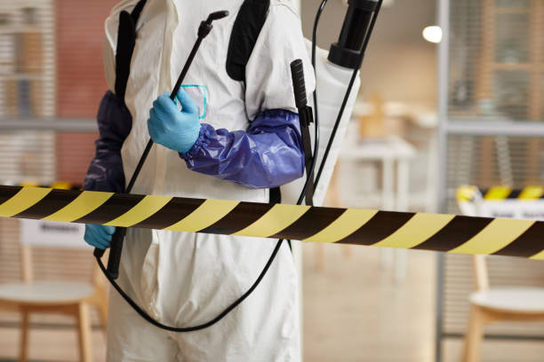 Professional Biohazard technician working in Labadie, MO